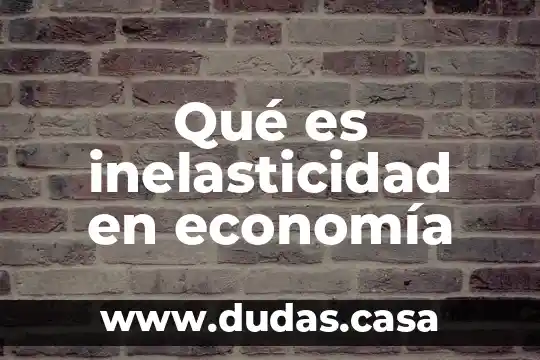 Qué es inelasticidad en economía