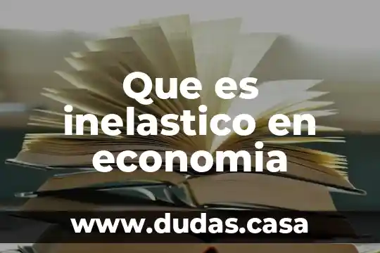 Que es inelastico en economia