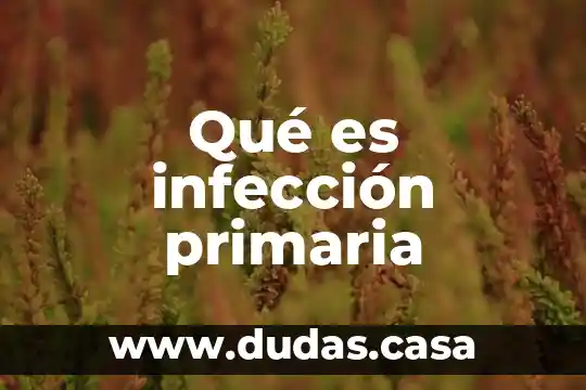 Qué es infección primaria