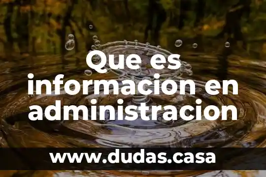 Que es informacion en administracion