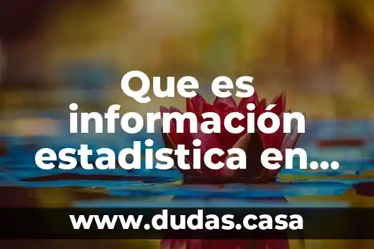 Que es información estadistica en inegi