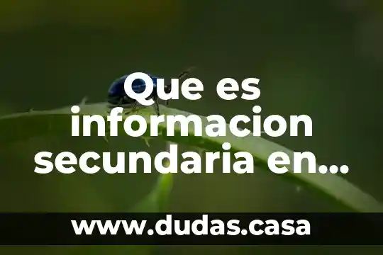 Que es informacion secundaria en investigacion de mercados