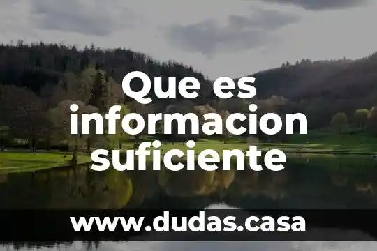 Que es informacion suficiente