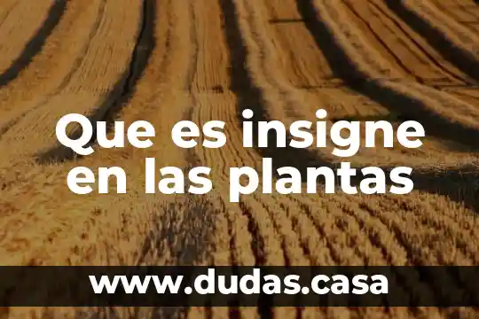 Que es insigne en las plantas