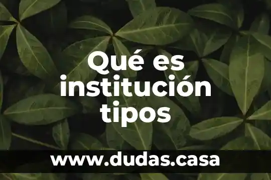 Qué es institución tipos