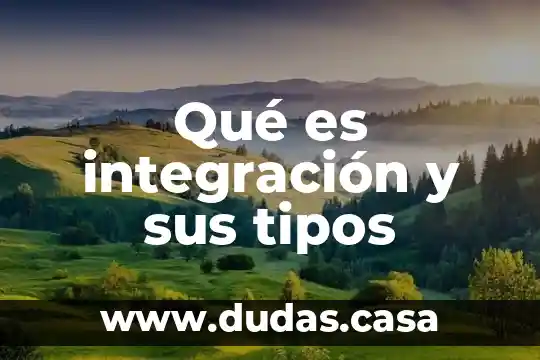 Qué es integración y sus tipos