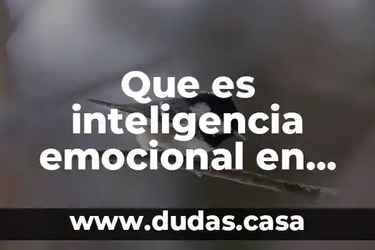 Que es inteligencia emocional en administracion