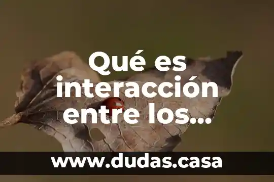 Qué es interacción entre los componentes del espacio geográfico