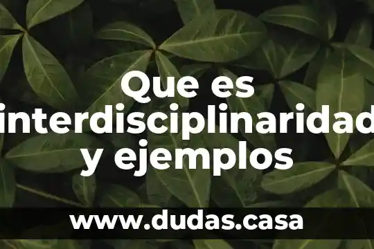 Que es interdisciplinaridad y ejemplos