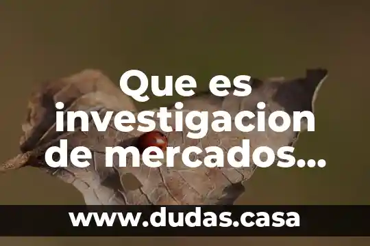 Que es investigacion de mercados propia