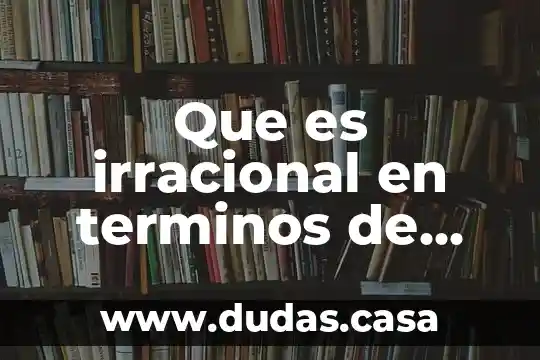 Que es irracional en terminos de algebra