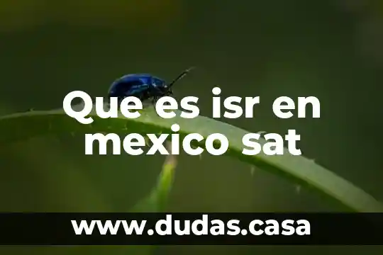 Que es isr en mexico sat