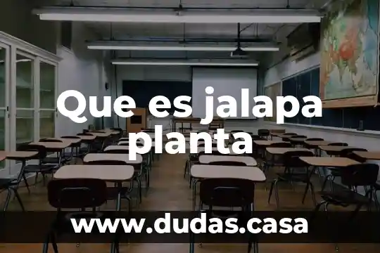 Que es jalapa planta