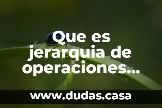 Que es jerarquia de operaciones definicion