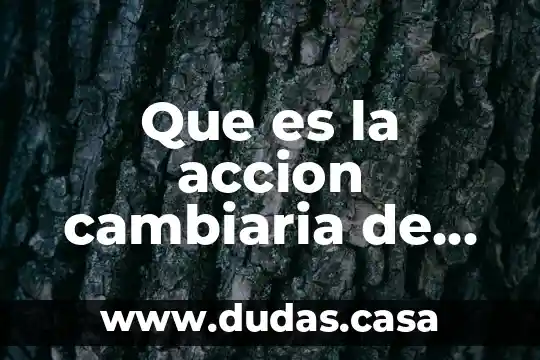 Que es la accion cambiaria de los titulos valores