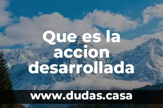 Que es la accion desarrollada