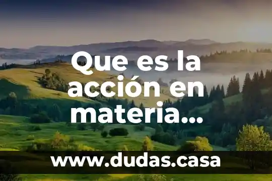 Que es la acción en materia electoral sala superior