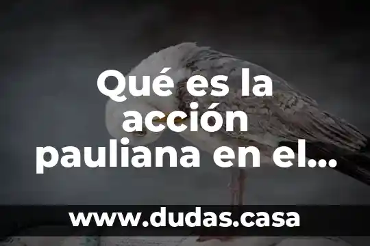Qué es la acción pauliana en el código civil peruano