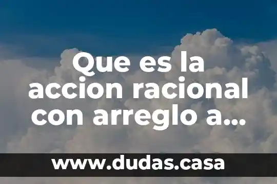 Que es la accion racional con arreglo a valores