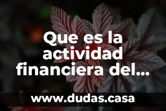 Que es la actividad financiera del esado