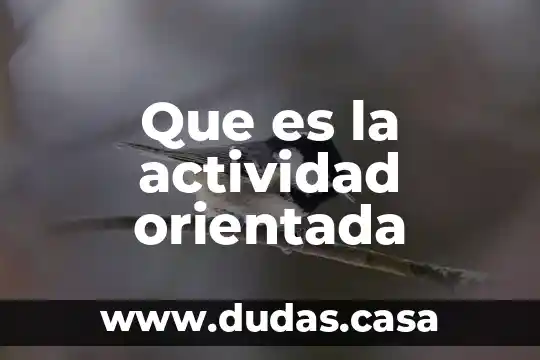 Que es la actividad orientada