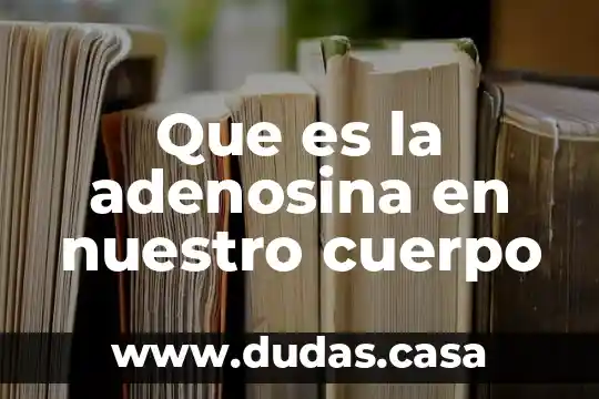 Que es la adenosina en nuestro cuerpo