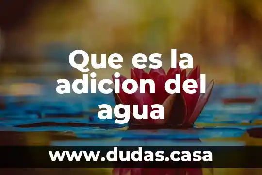Que es la adicion del agua