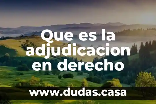 Que es la adjudicacion en derecho