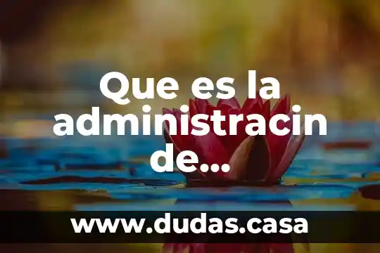Que es la administracin de conocimientos de diferentes paginas
