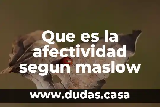 Que es la afectividad segun maslow