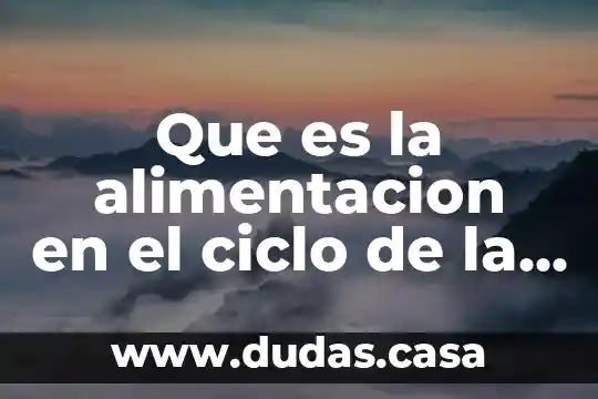 Que es la alimentacion en el ciclo de la vida