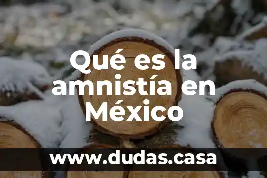 Qué es la amnistía en México
