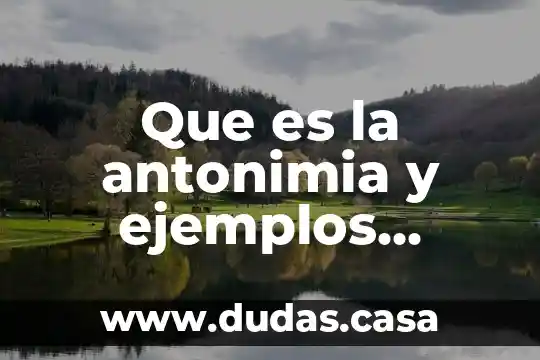 Que es la antonimia y ejemplos redalyc