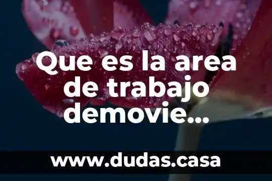 Que es la area de trabajo demovie maker