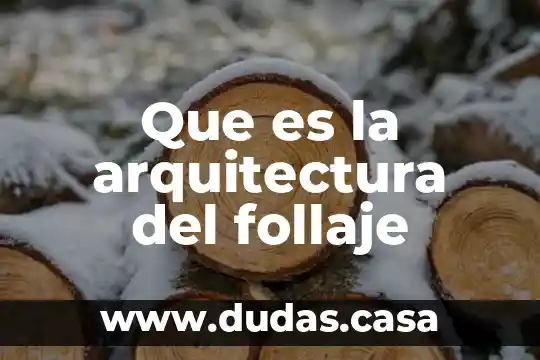 Que es la arquitectura del follaje