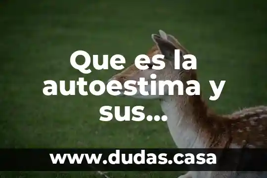 Que es la autoestima y sus caracteristicas