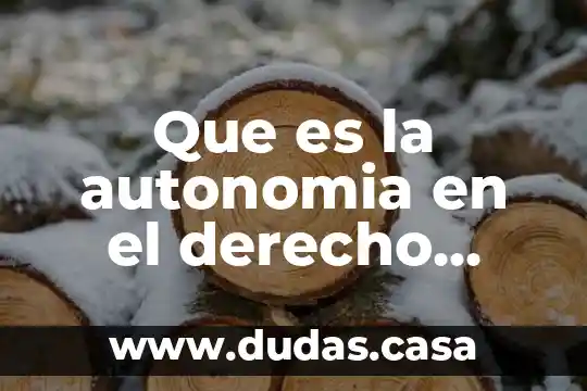Que es la autonomia en el derecho electoral