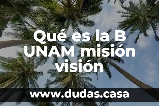 Qué es la B UNAM misión visión