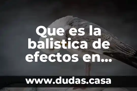 Que es la balistica de efectos en vidrios