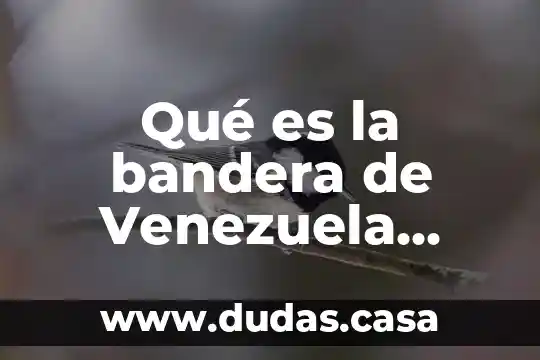 Qué es la bandera de Venezuela para niños