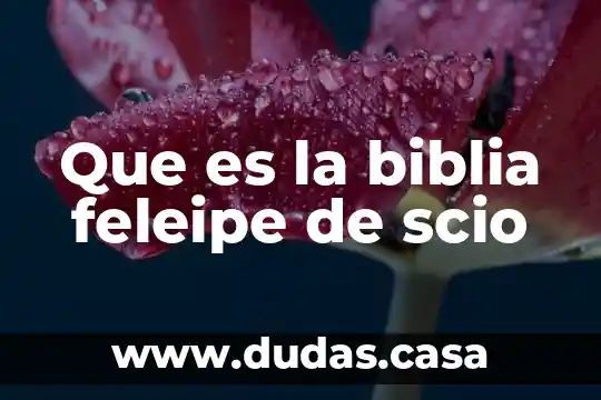 Que es la biblia feleipe de scio