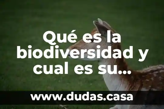 Qué es la biodiversidad y cual es su importancia