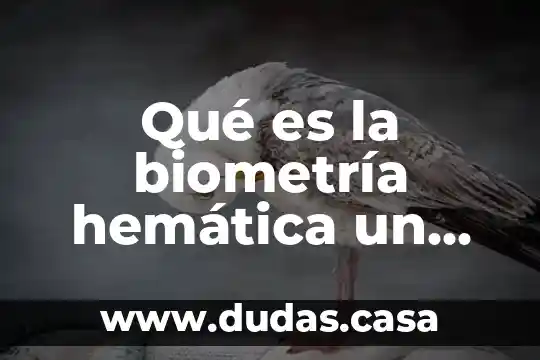 Qué es la biometría hemática un examen general de orina