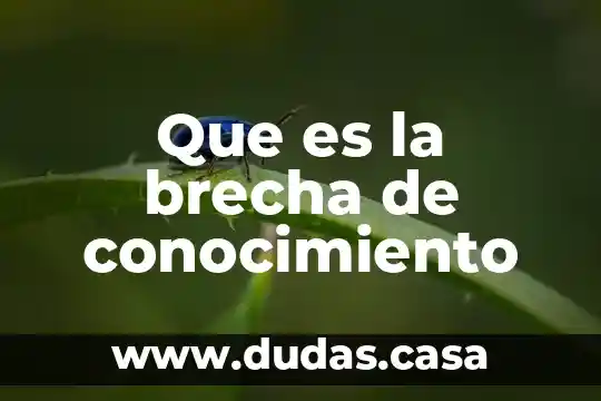 Que es la brecha de conocimiento