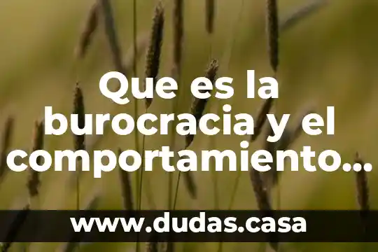 Que es la burocracia y el comportamiento organizacional
