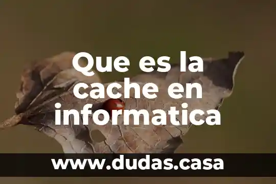Que es la cache en informatica