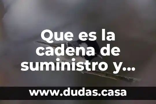 Que es la cadena de suministro y diagramas