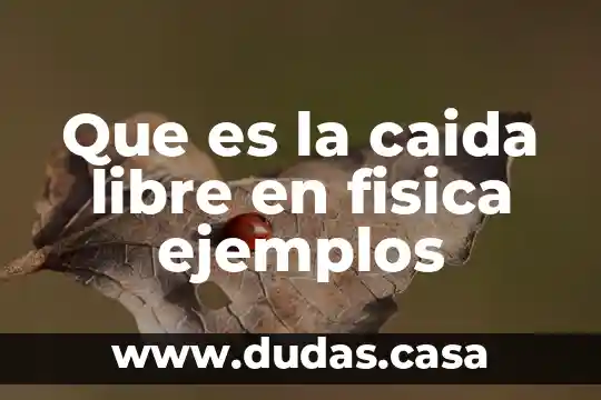 Que es la caida libre en fisica ejemplos