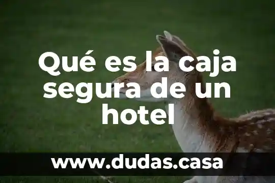 Qué es la caja segura de un hotel