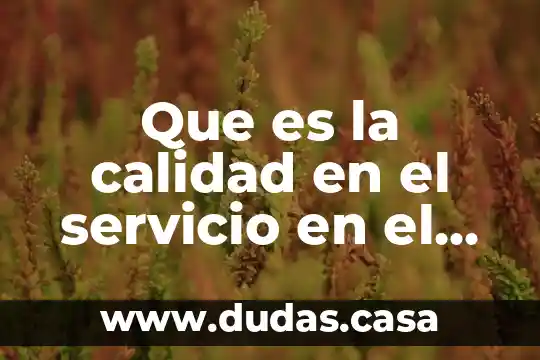 Que es la calidad en el servicio en el consumismo